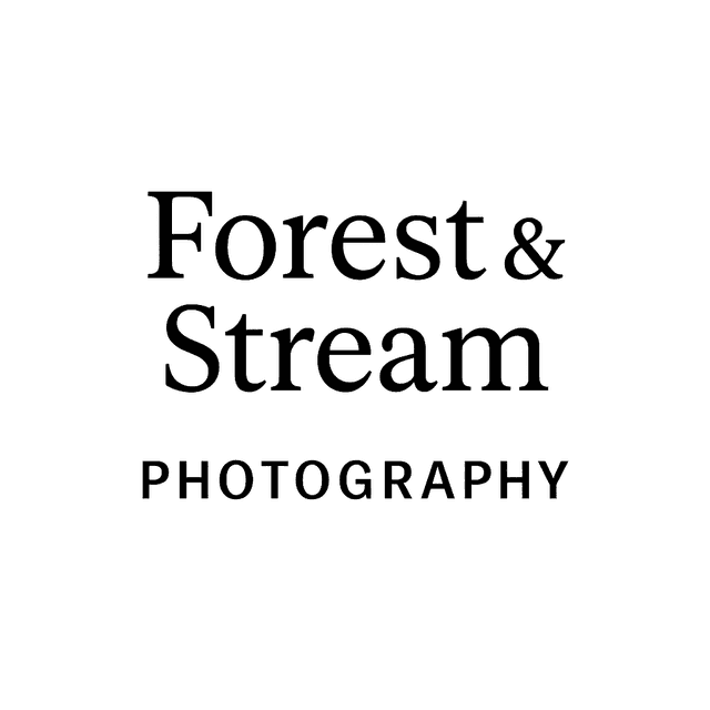 Forest & Stream Photography