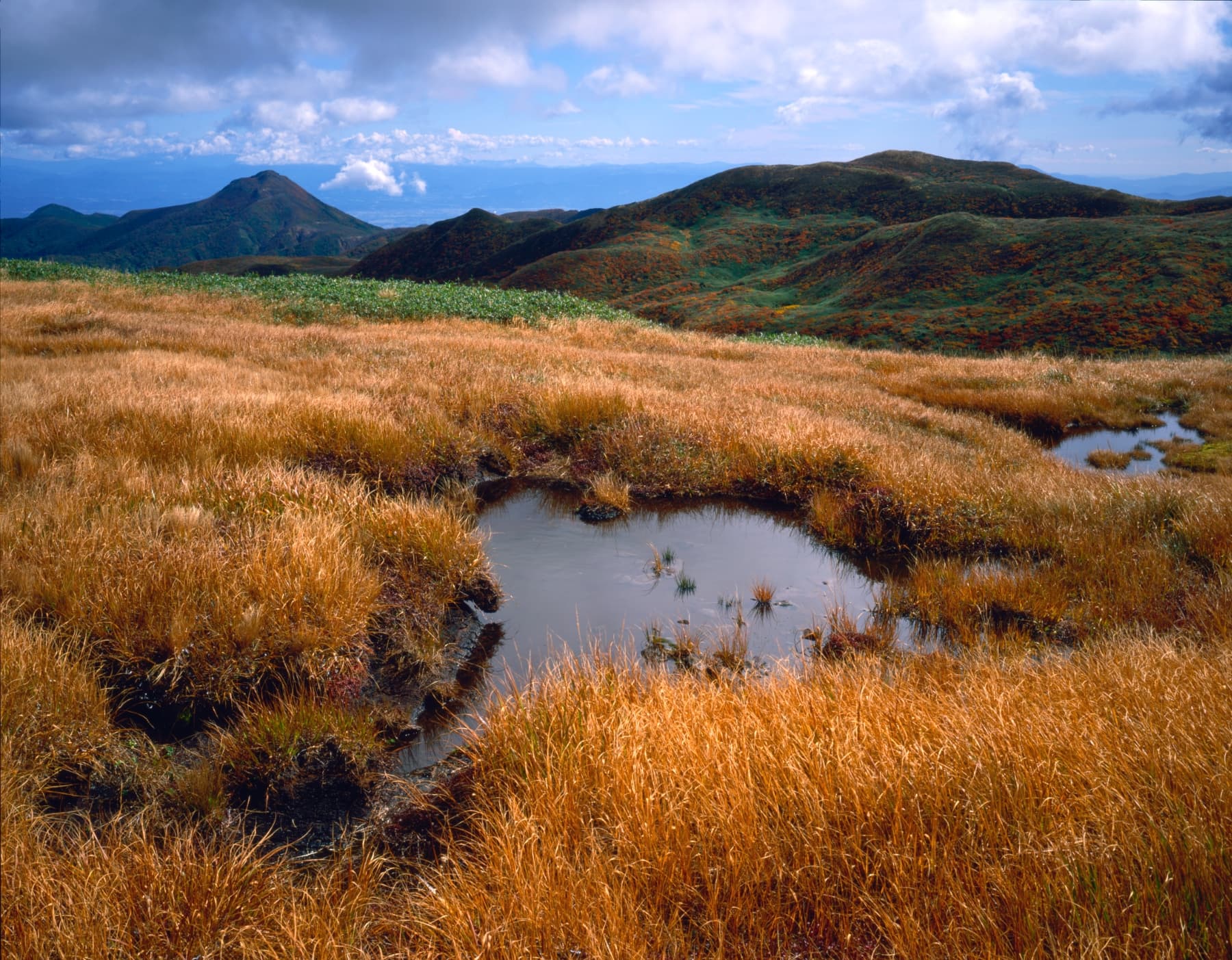 焼石岳 サムネイル 3