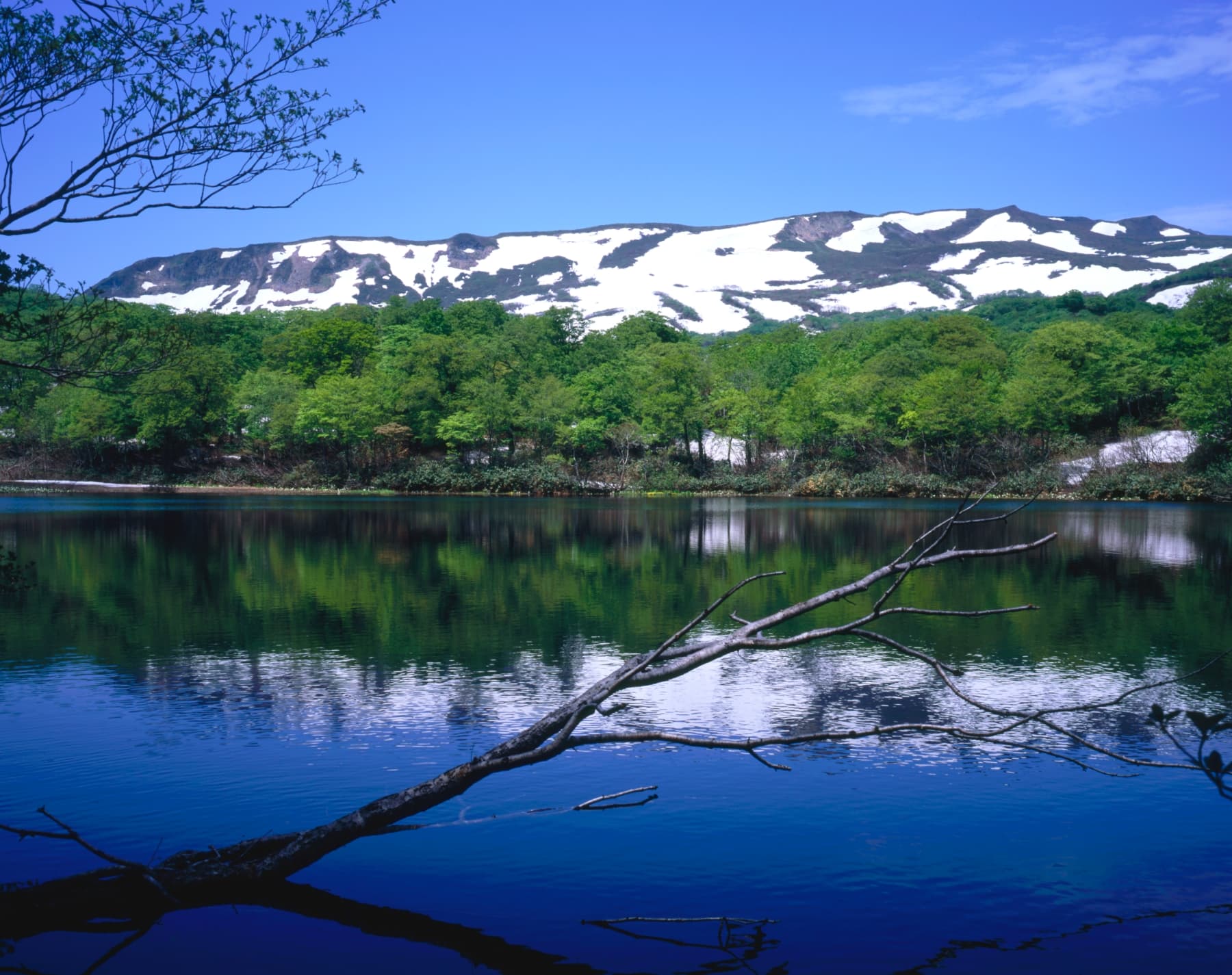 焼石岳 / Mt. Yakeishi