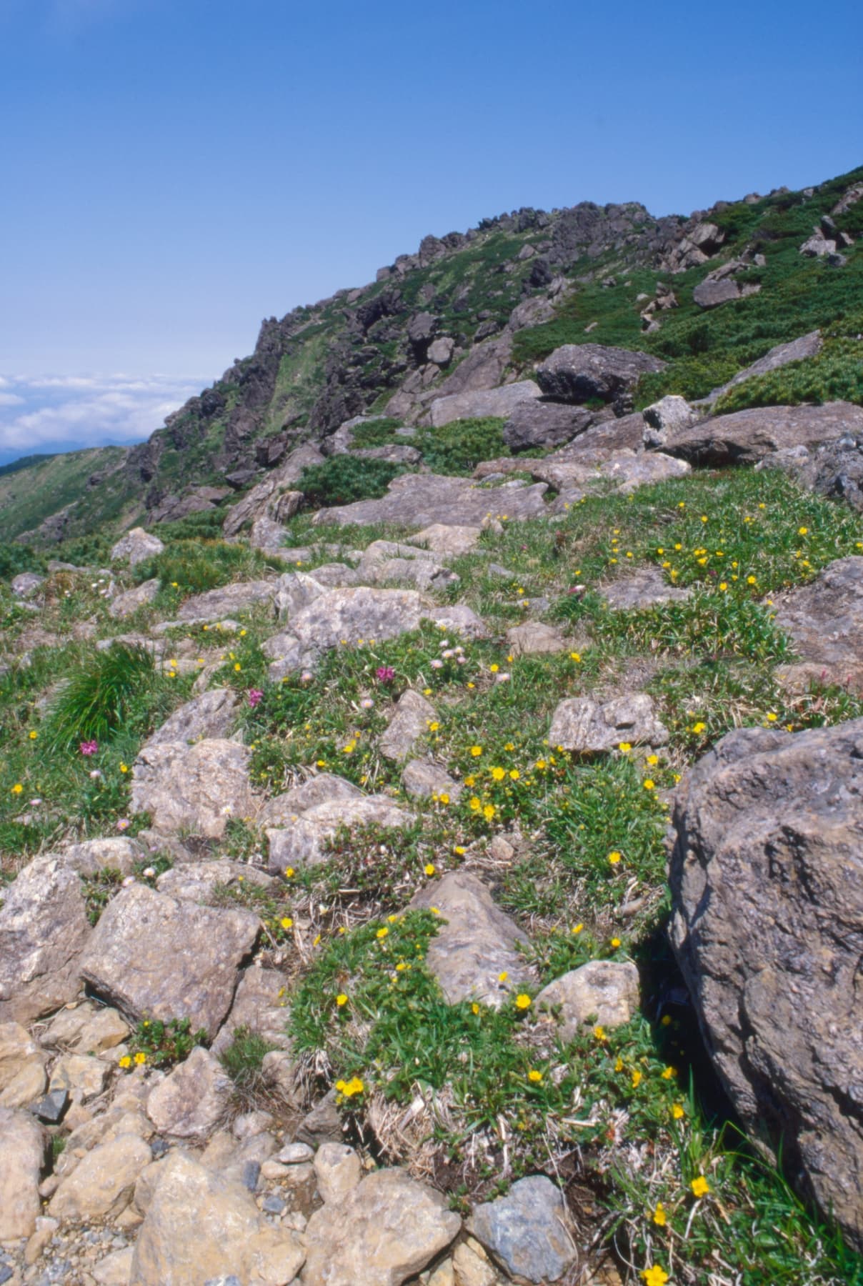 早池峰山 サムネイル 1