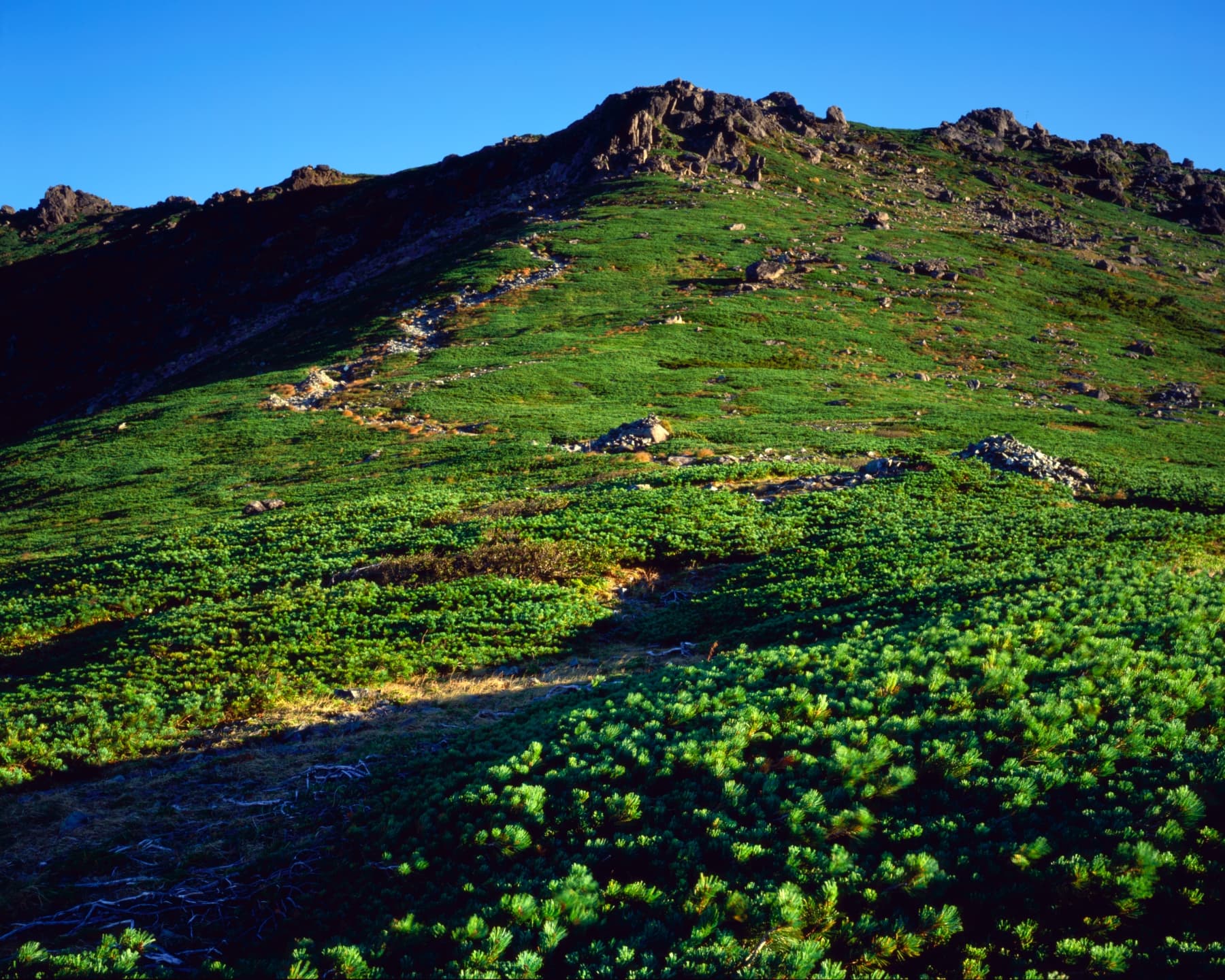 早池峰山 サムネイル 3