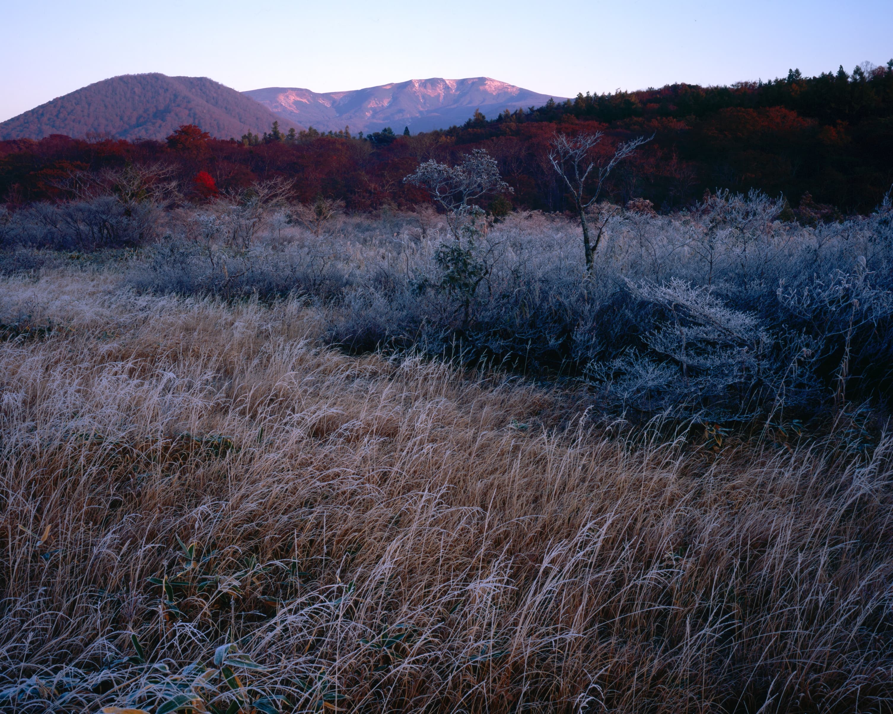 栗駒山 サムネイル 3