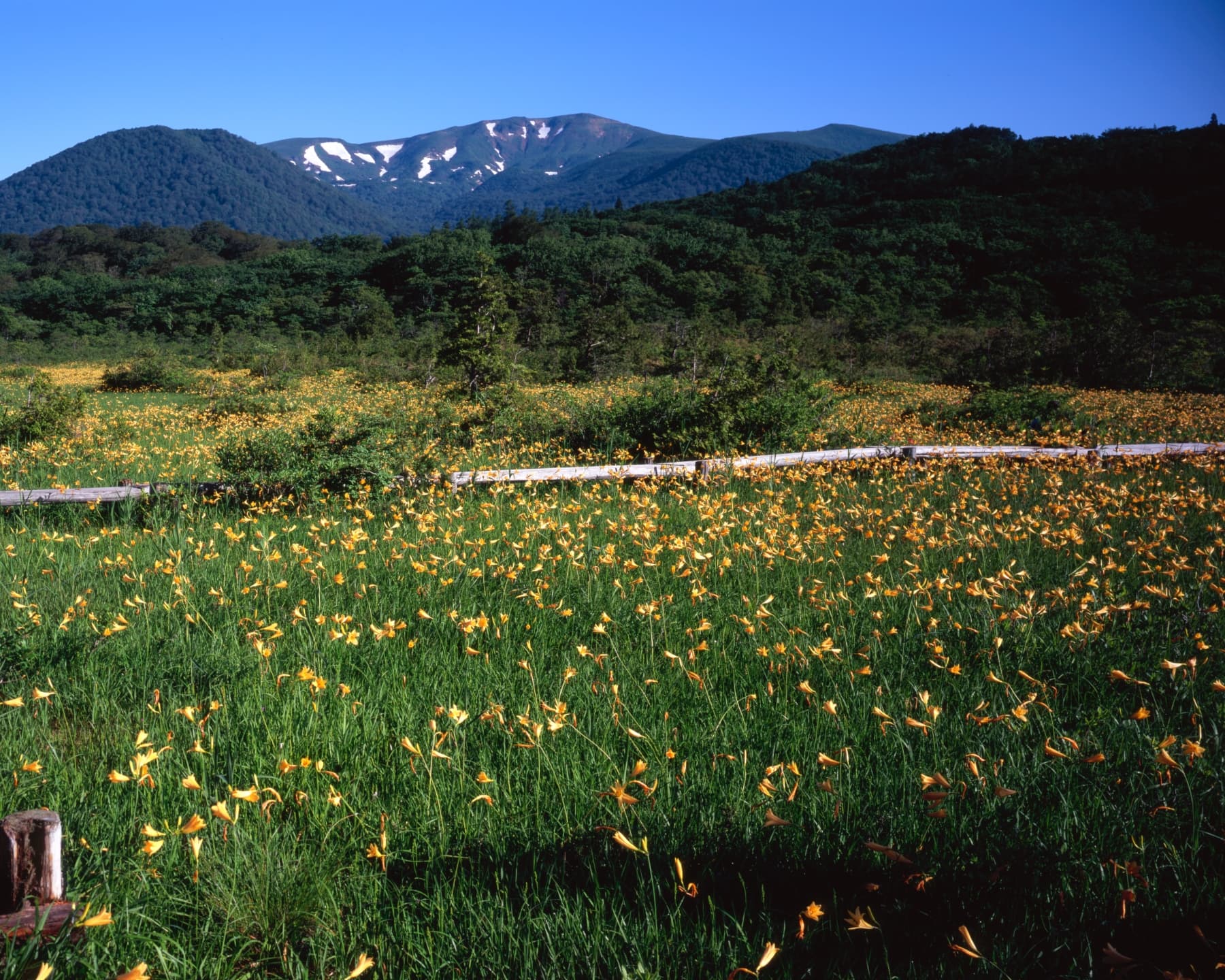 栗駒山 / Mt. Kurikoma