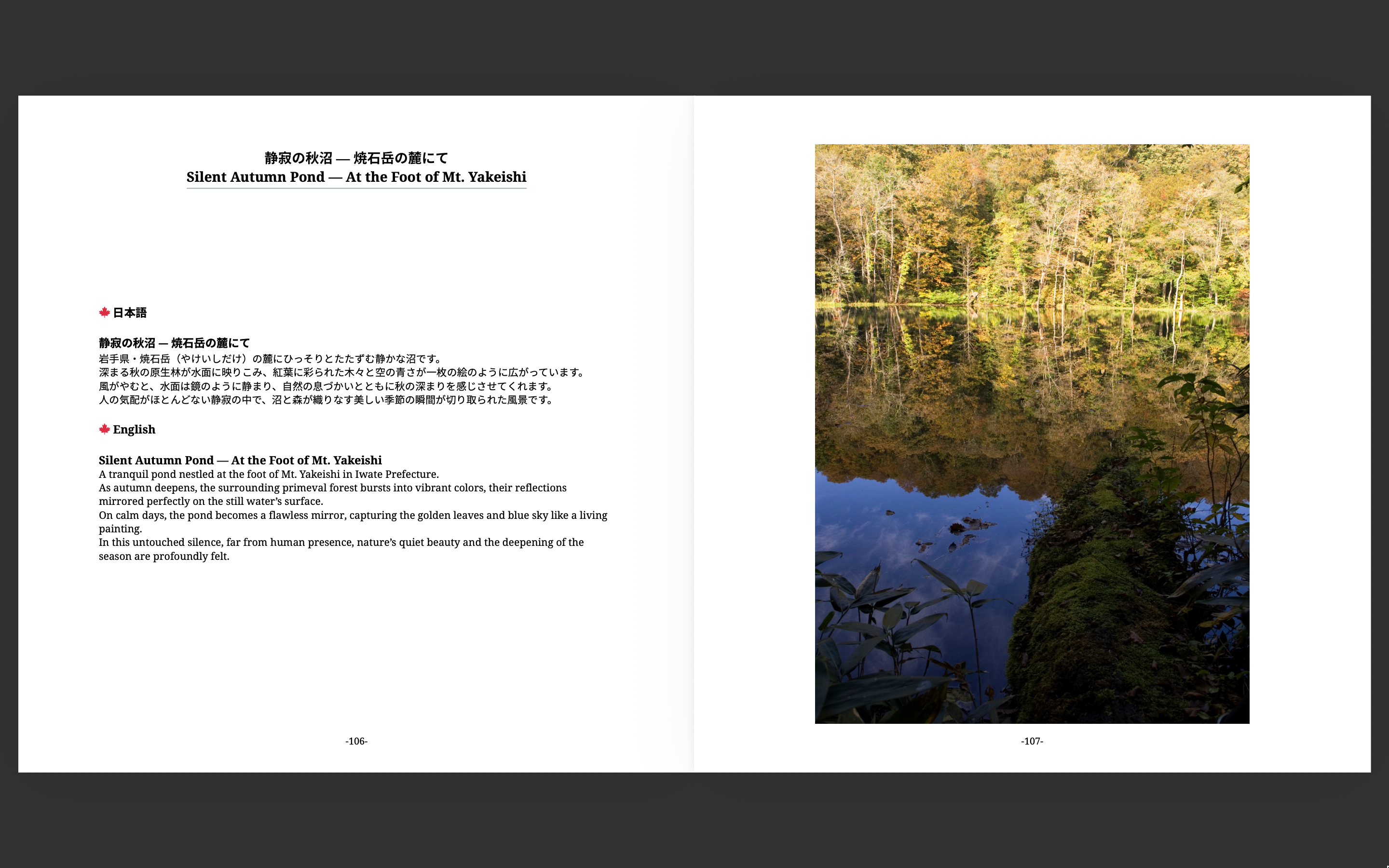 Autumn highlight spread