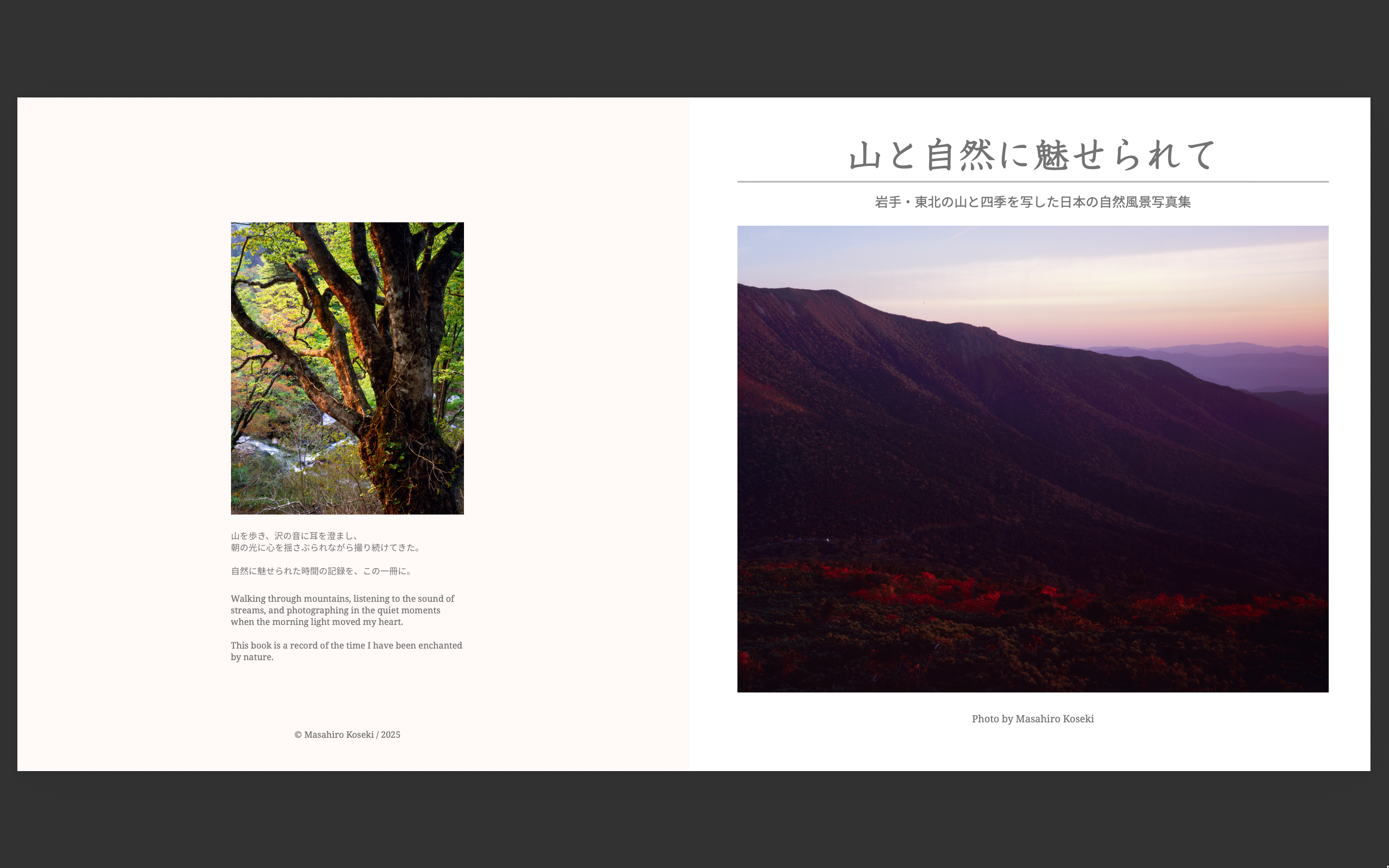 Book cover — spread