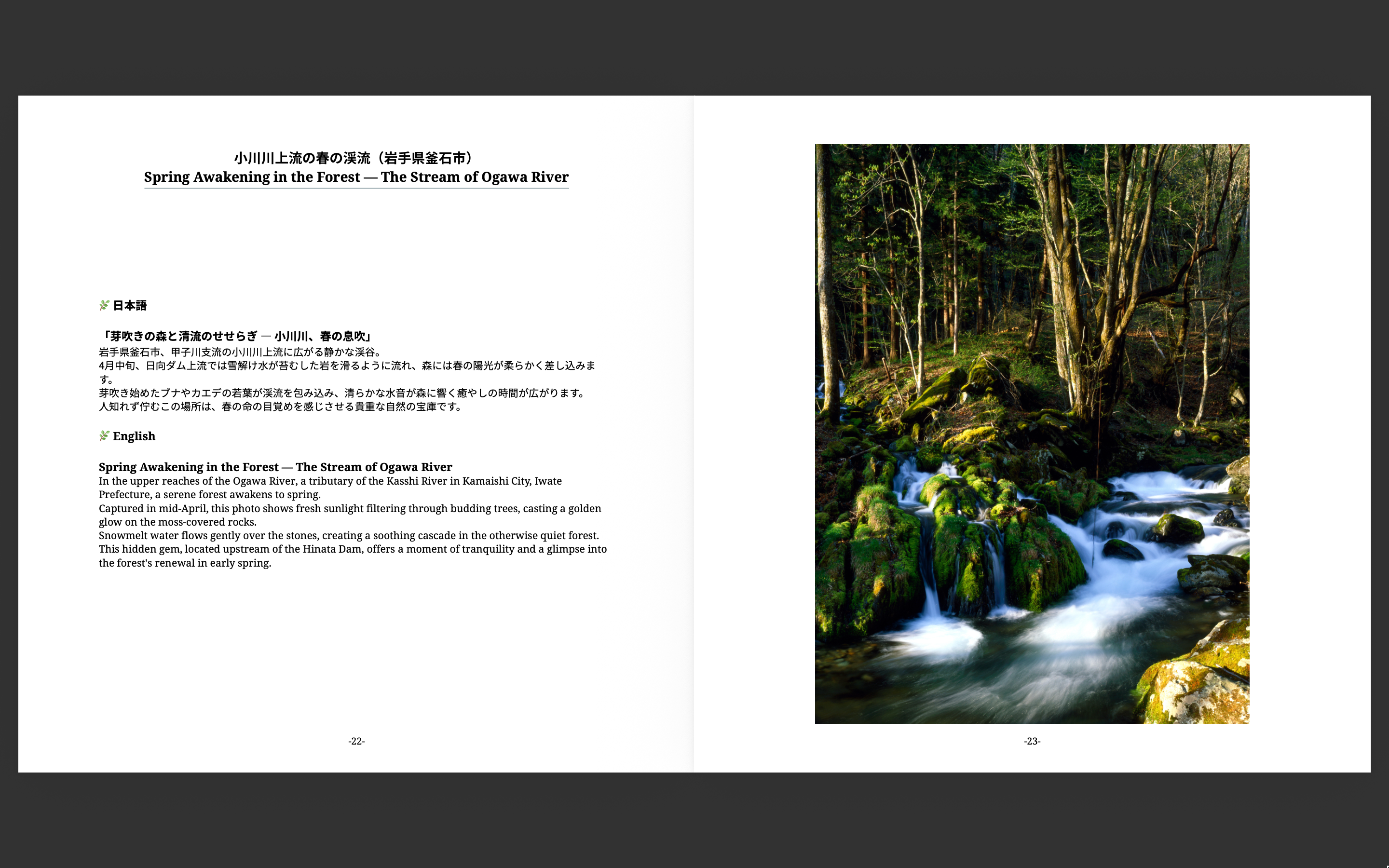 Spring highlight spread