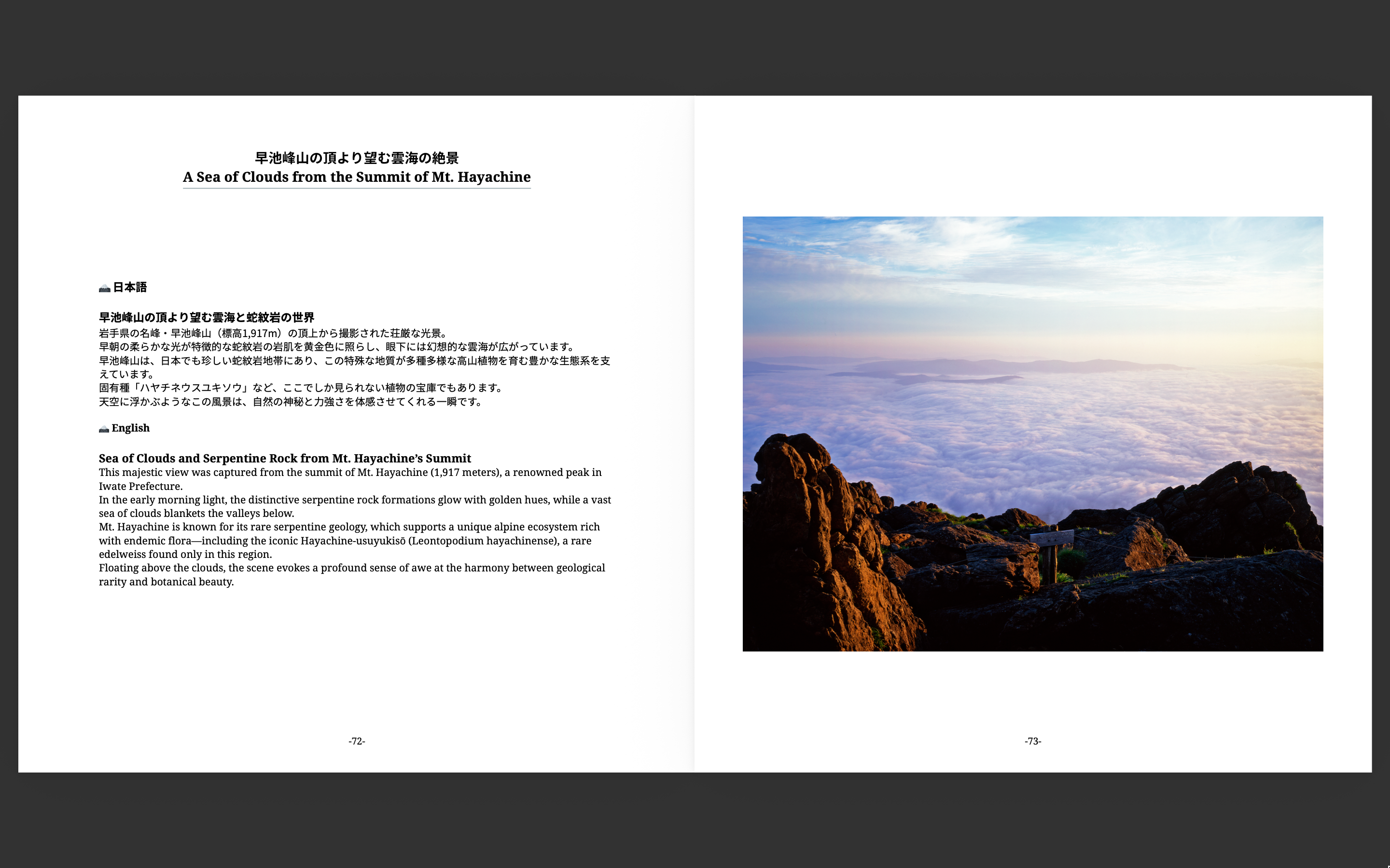 Summer highlight spread