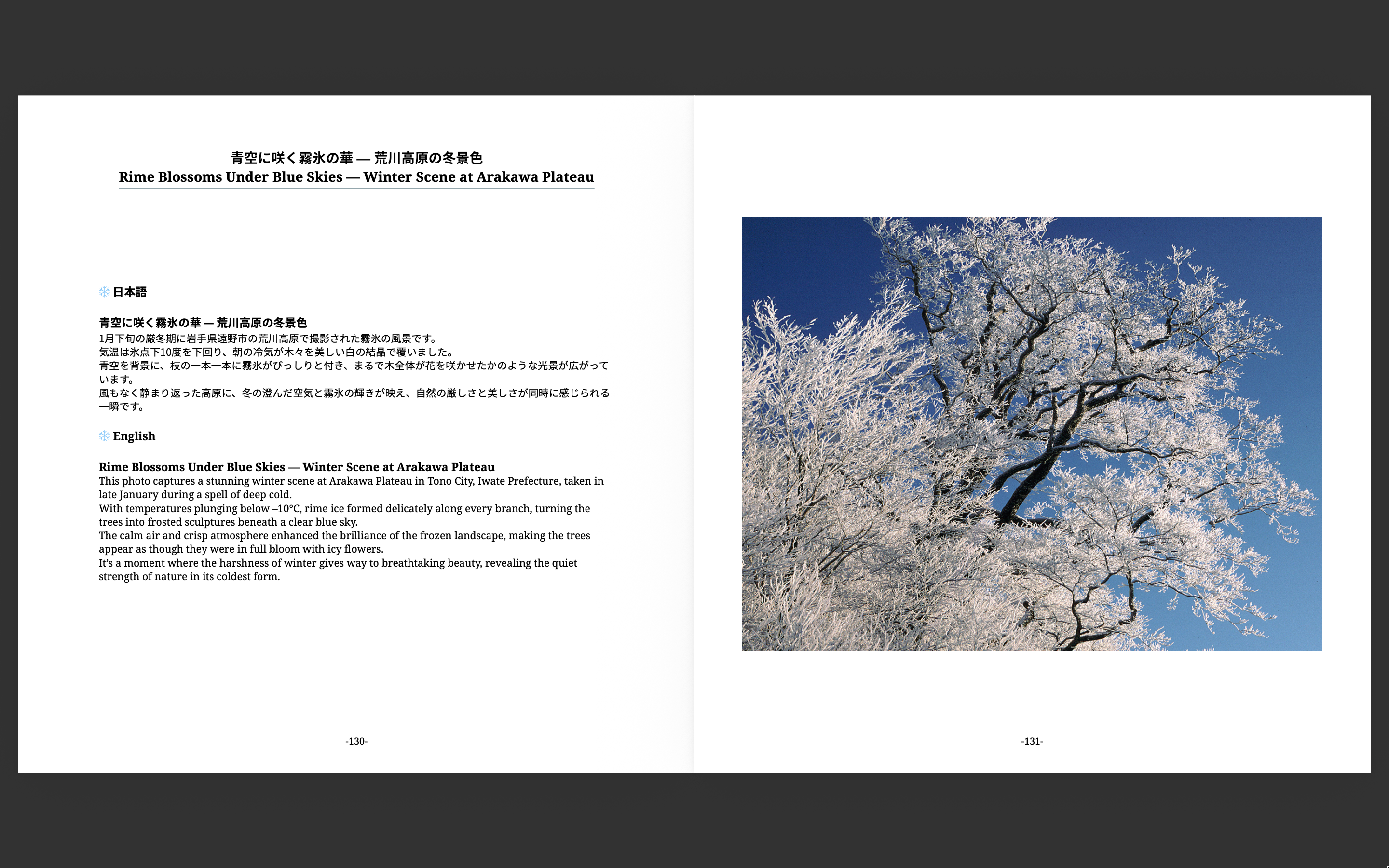 Winter highlight spread